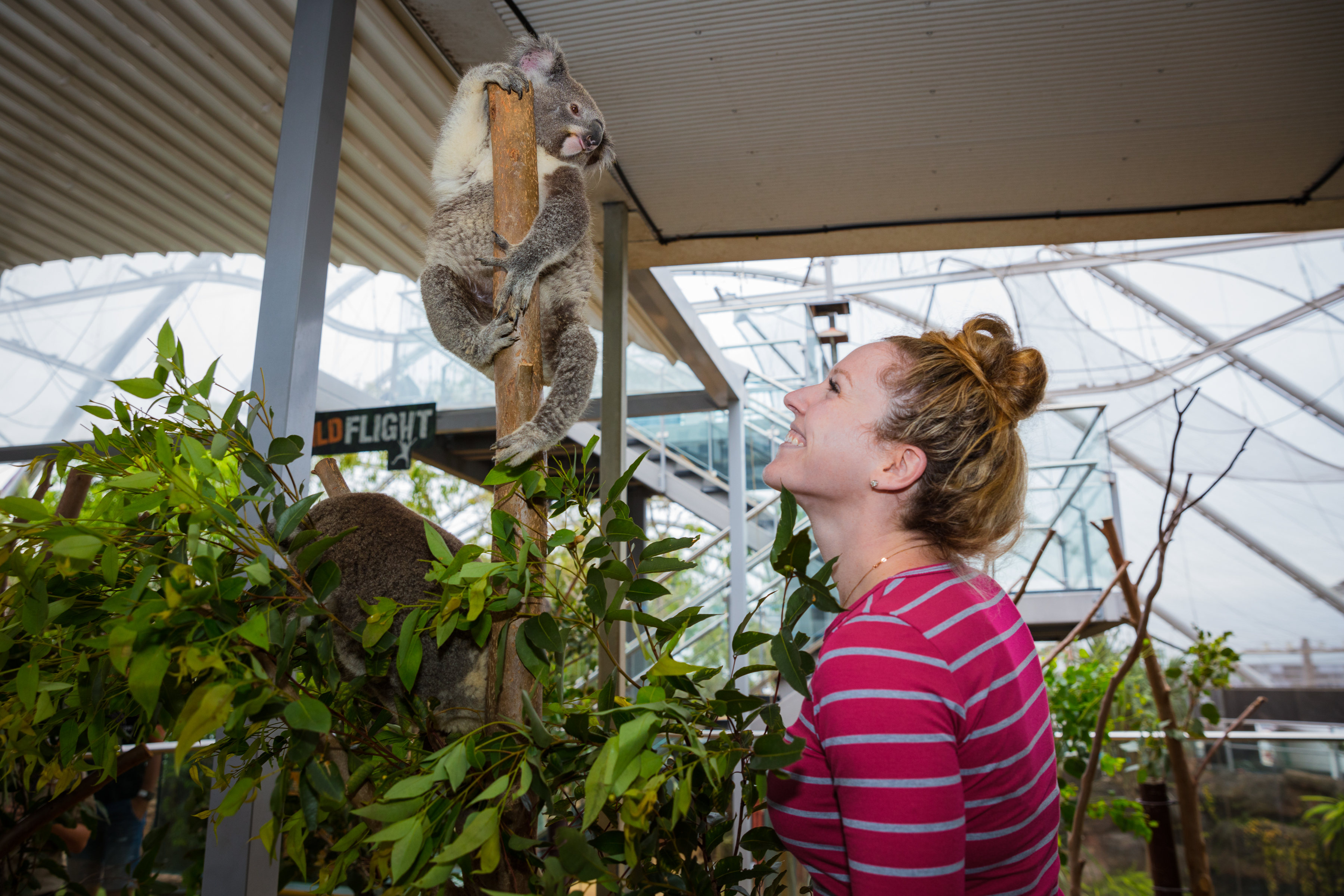 how long to visit sydney zoo