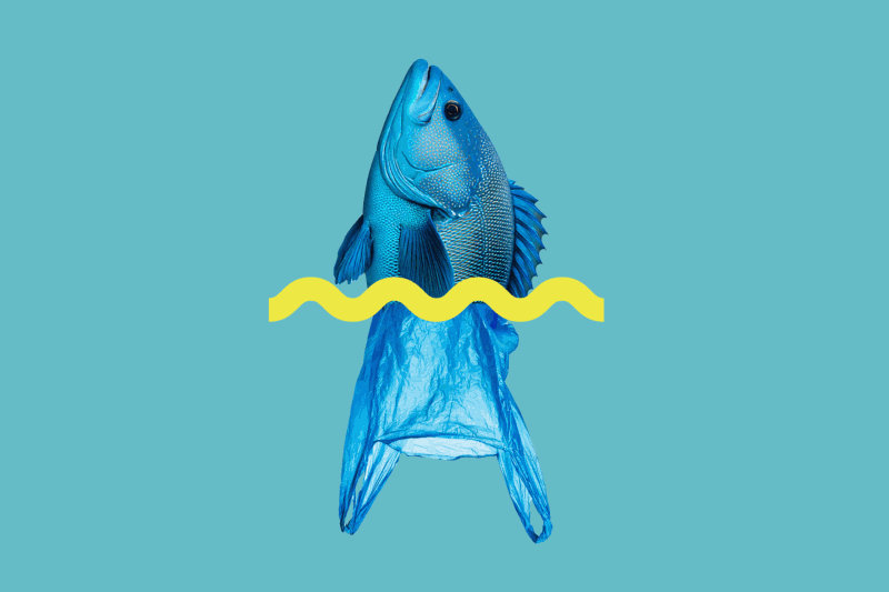 Plastic - the final straw?