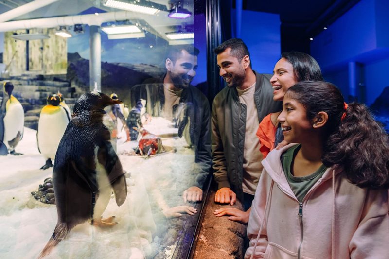 Free Entry for Mum at SEA LIFE Sydney