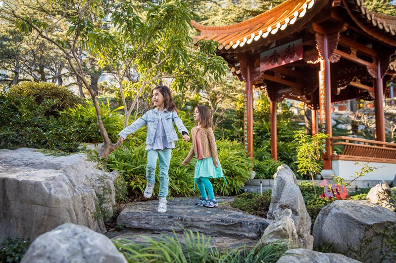 Build Your Own Chinese Garden