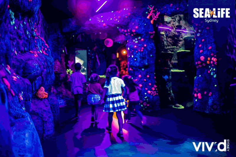 Vivid Saver at SEA LIFE Sydney Aquarium