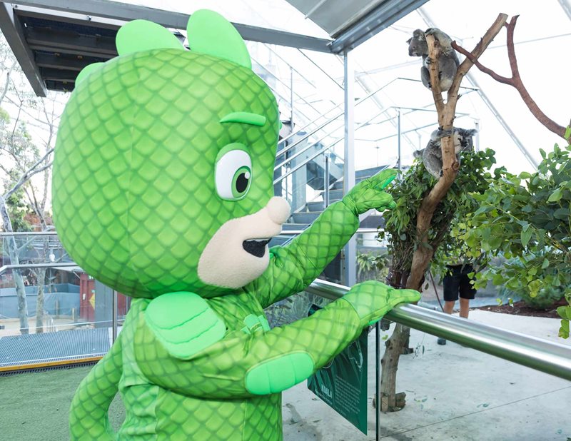 Wildlife Mission! PJ Masks at WILD LIFE Sydney Zoo