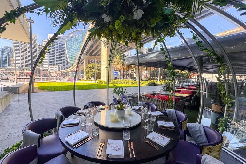 Dining Dome by Planar