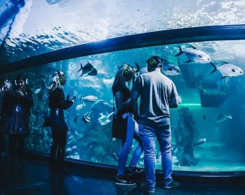 SEA LIVE Myths and Legends Silent Disco at SEA LIFE Sydney Aquarium