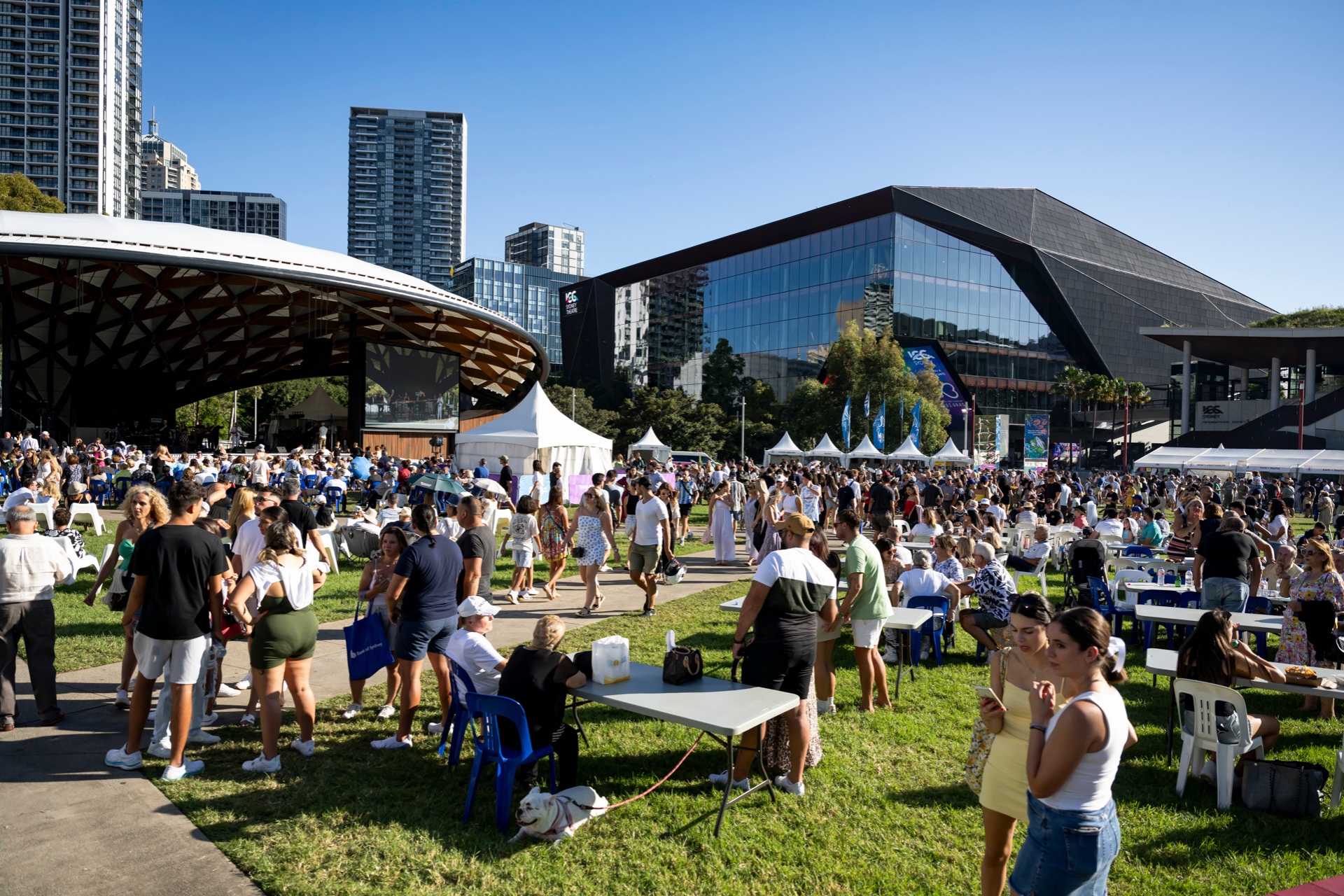 Culture Alive Festivals