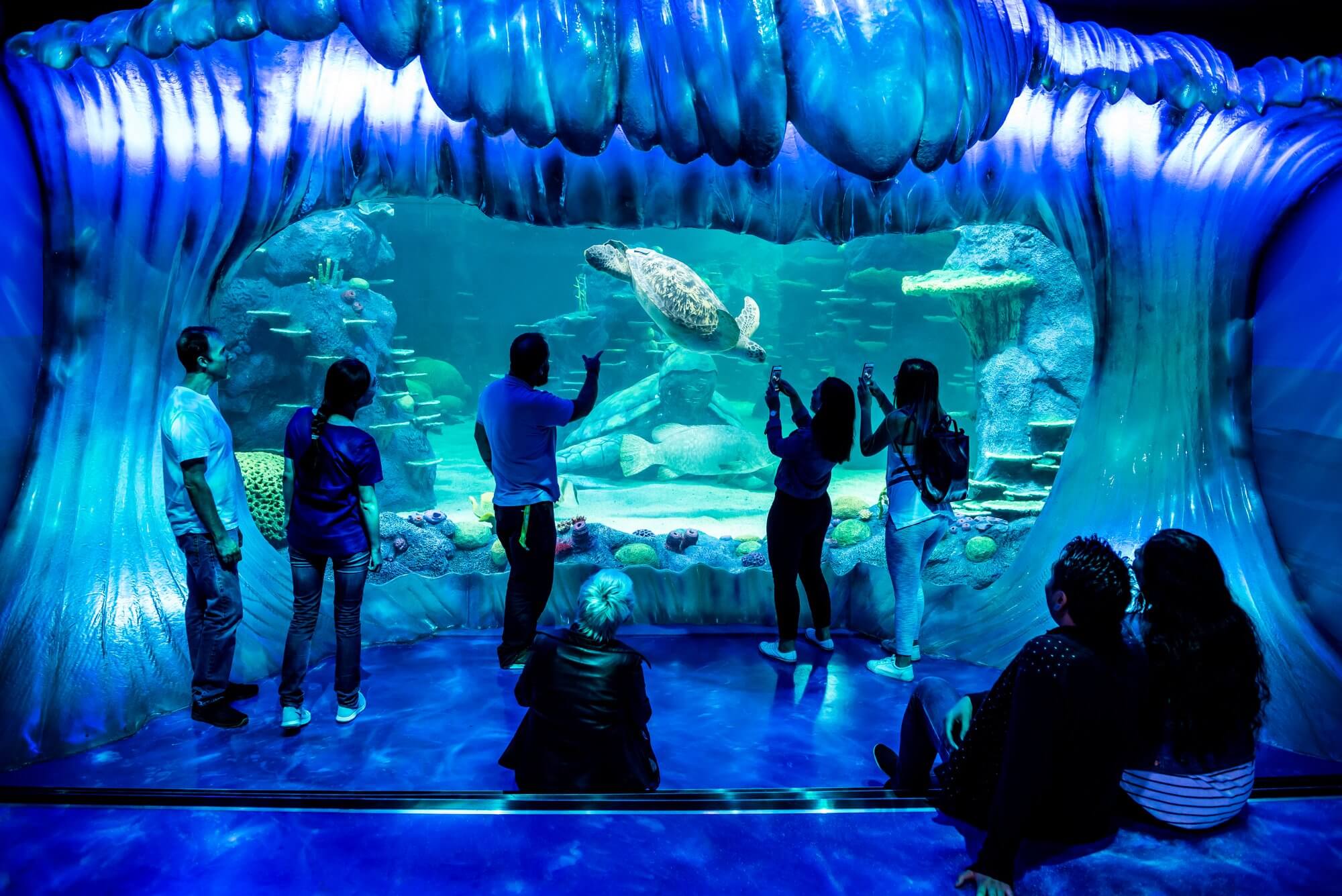 Sea Life Net Dive into the Black Friday sale at SEA LIFE Sydney! | Darling Harbour