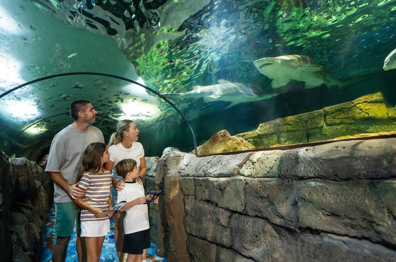SEA LIFE Sydney Aquarium – Aussie Animal Passport