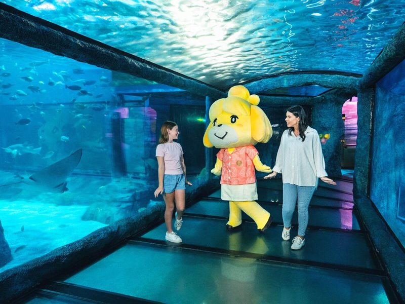 The Animal Crossing New Horizons Adventure