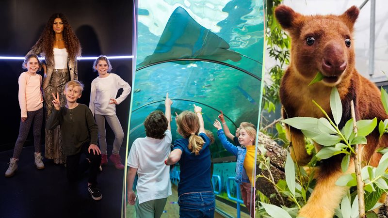 The Ultimate Kids Pass