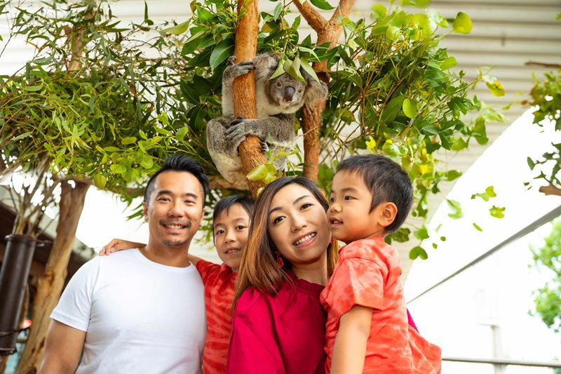 Lunar New Year at WILD LIFE Sydney Zoo