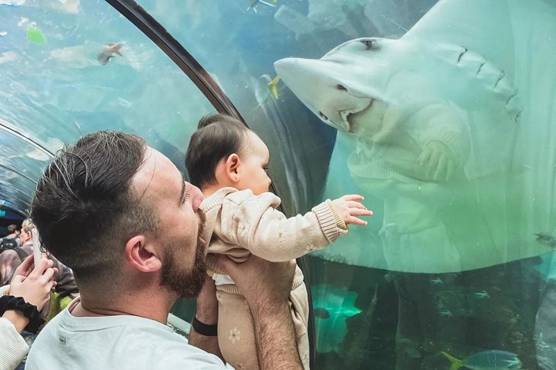Treat your Dad for $1 this Father's Day at SEA LIFE Sydney
