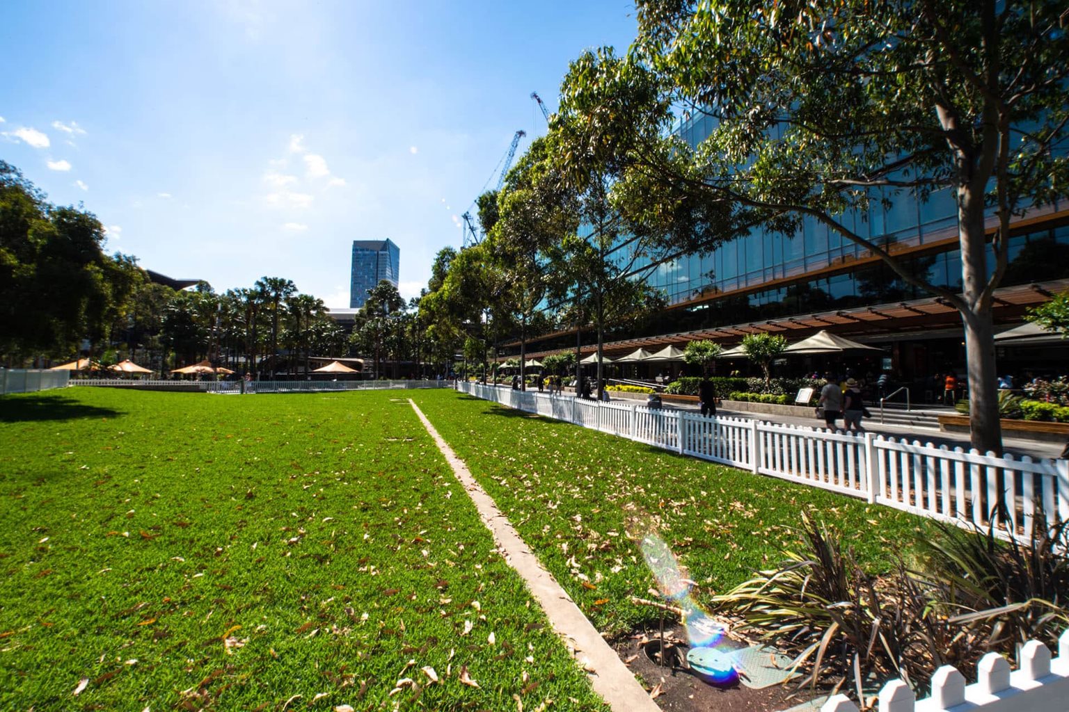 Darling Quarter Village Green (North) Darling Harbour