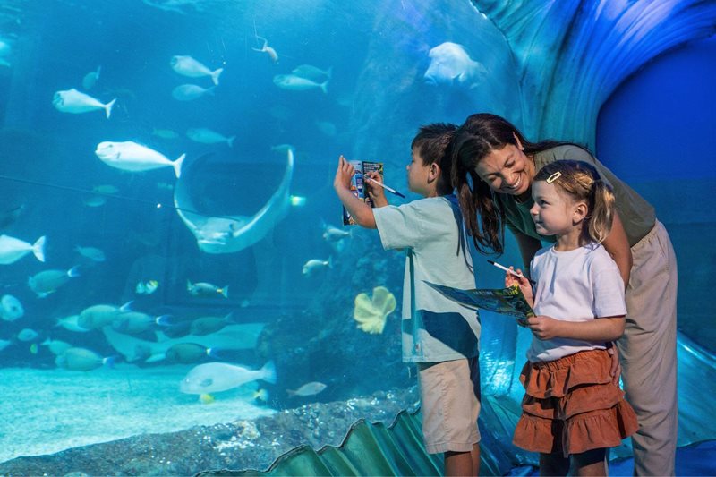 Creature Rescue Squad at SEA LIFE Sydney Aquarium