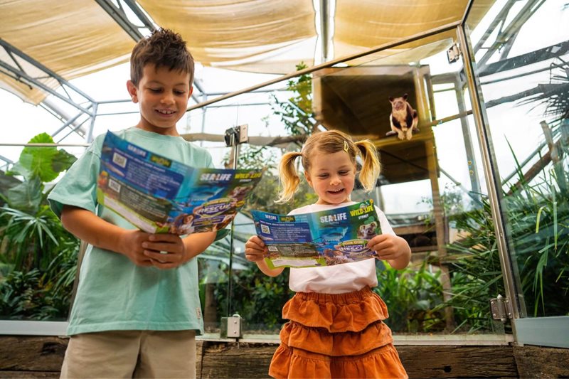 Creature Rescue Squad at WILD LIFE Sydney Zoo