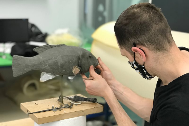 Blueback: Sharing the Secrets