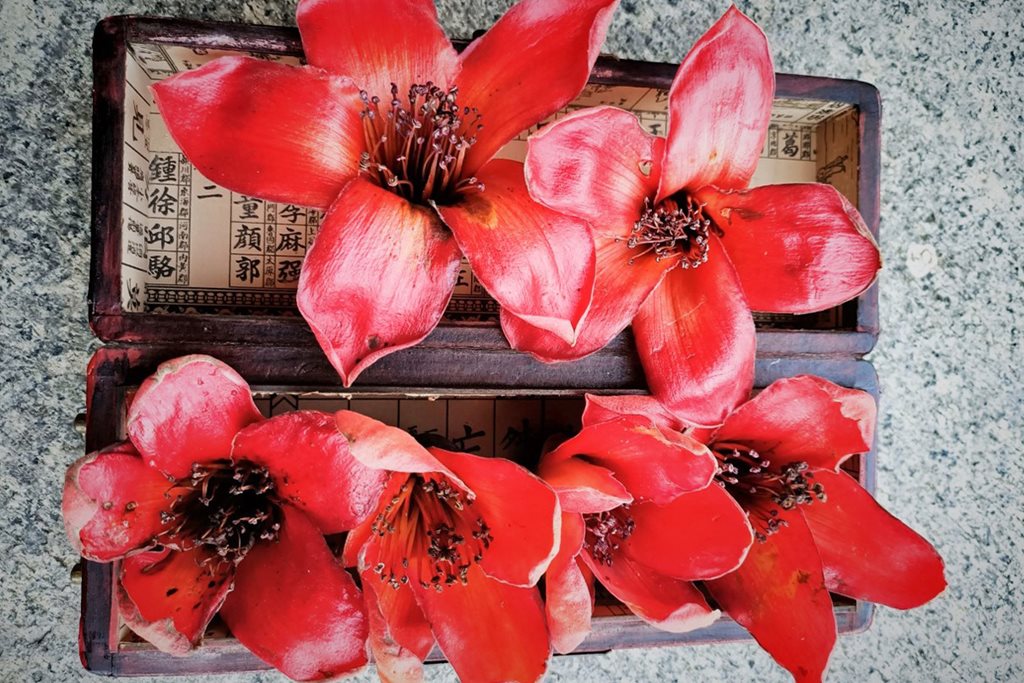중국 정원 붉은 꽃