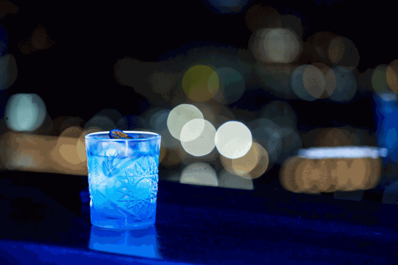 Illuminated Vivid evenings at Zephyr