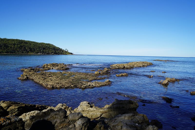 Sea Country Stories: Yurin Gadu