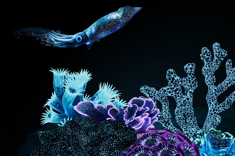 Life in Another Light at Vivid Sydney