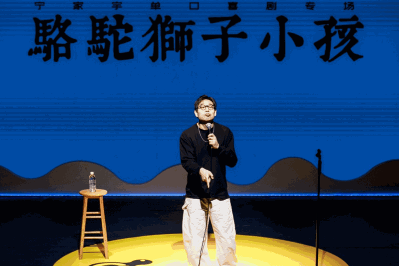 Ning Jiayu; Camel, Lion, Child