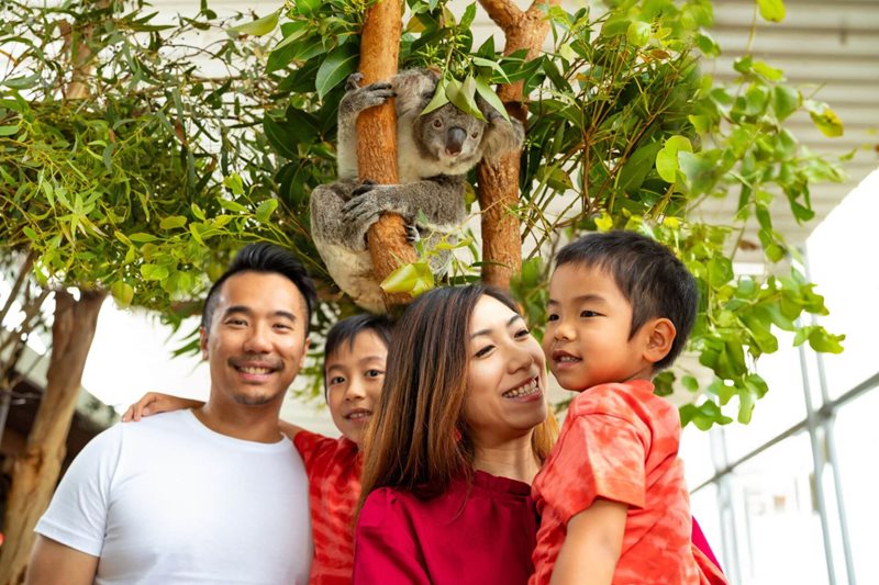Free Entry for Mum at WILD LIFE Sydney Zoo