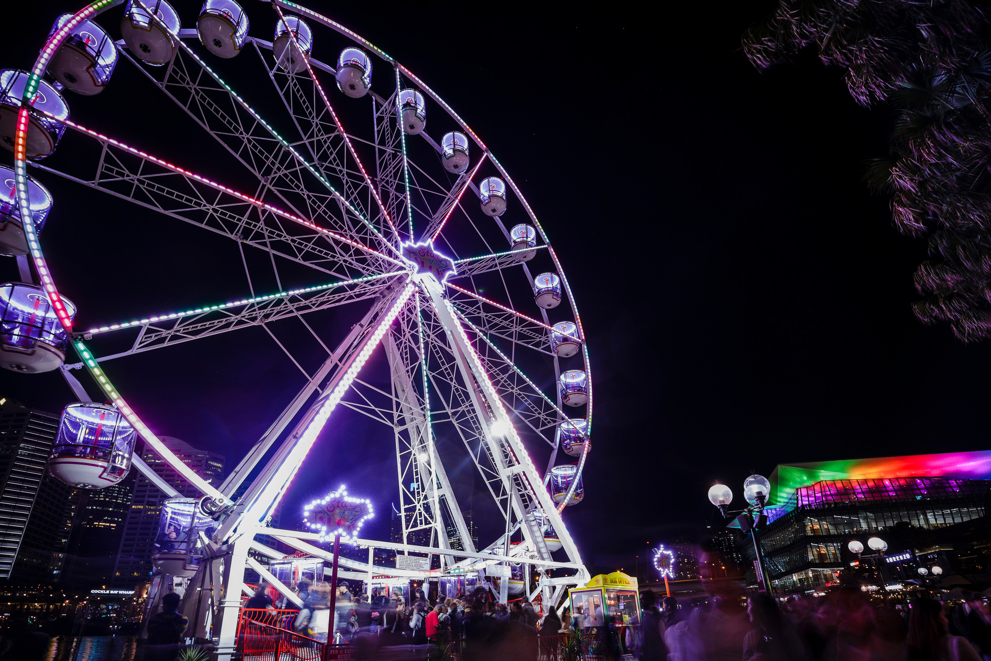 Darling Harbour Ferris Wheel | Darling Harbour