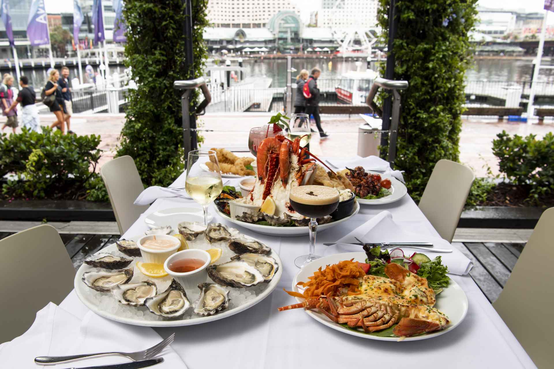 Sydney Harbor Restaurants Sydney Harbor Restaurants