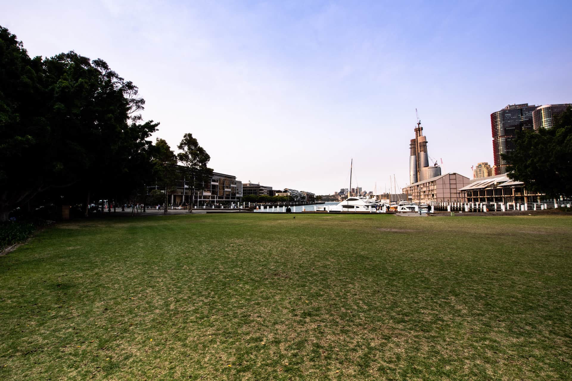 Pyrmont Bay Park 